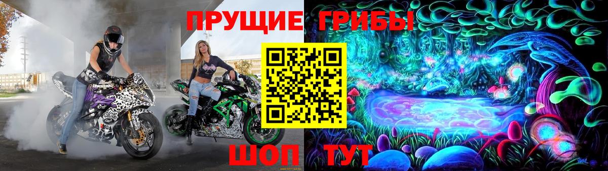 Псилоцибиновые грибы прущие грибы Пугачёв