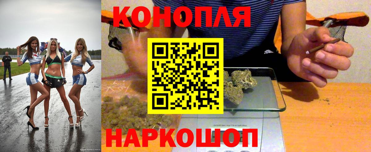 Бошки марихуана конопля Пугачёв